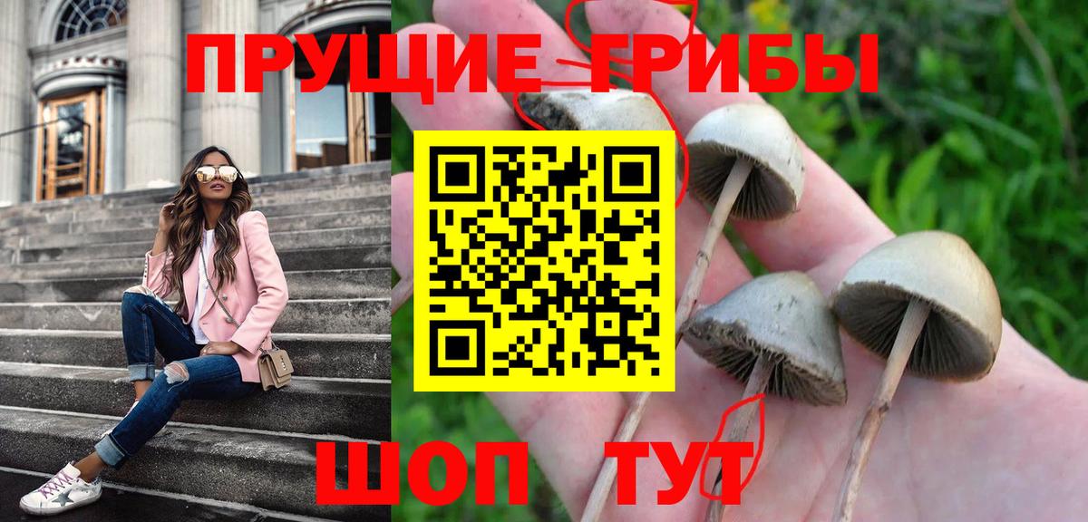 как найти наркотики  Вход с VPN  Нефтеюганск  Галлюциногенные грибы GOLDEN TEACHER 